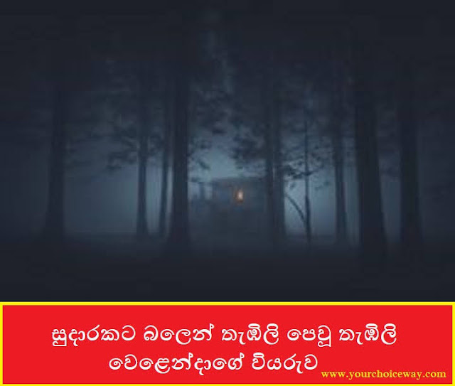 සුදාරකට බලෙන් තැඹිලි පෙවූ තැඹිලි වෙළෙන්දාගේ වියරුව (Ghost) - Your Choice Way