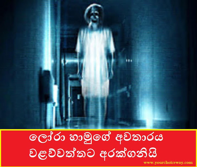 ලෝරා හාමුගේ අවතාරය වළව්වත්තට අරක්ගනියි (Lora Hamu) - Your Choice Way