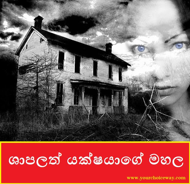 ශාපලත් යක්ෂයාගේ මහල (Building) - Your Choice Way