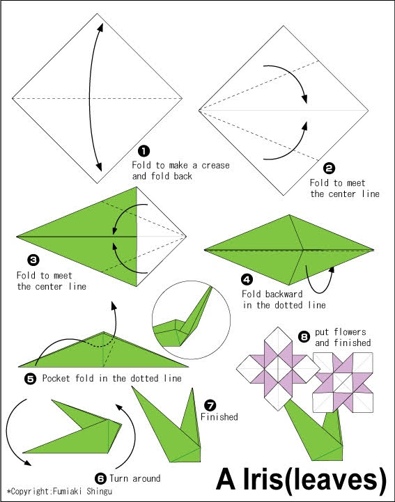 අයිරිස් මල හදමු (Origami Iris) - Your Choice Way