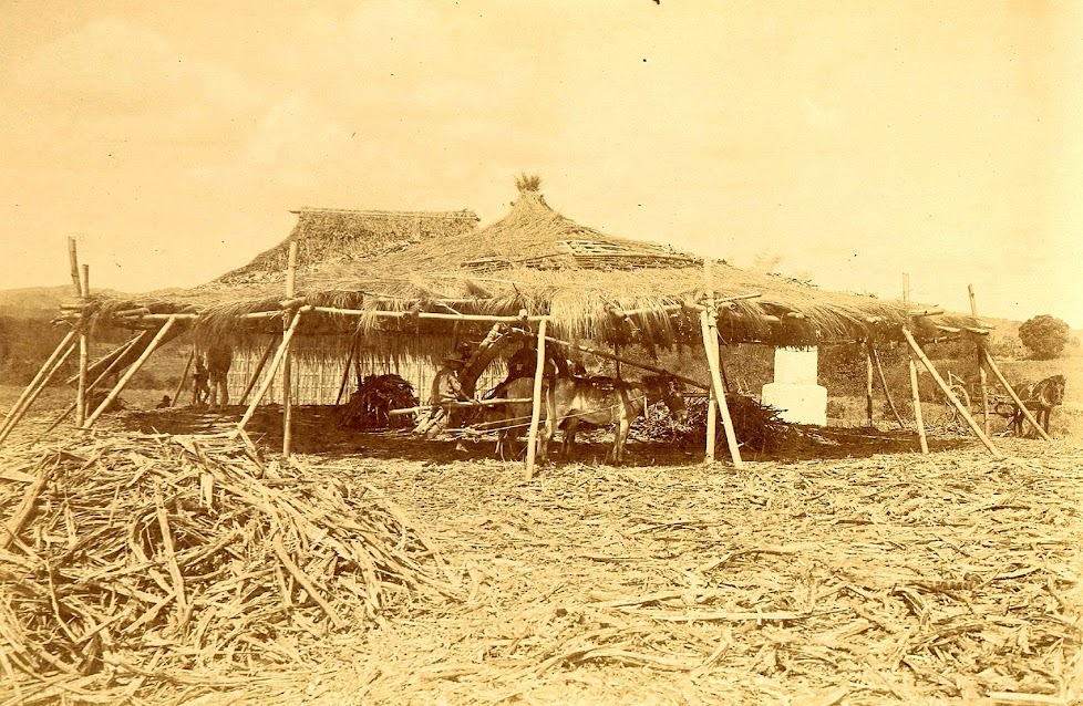 Image credit: University of Michigan Digital Collections. Image credit: University of Michigan Digital Collections.