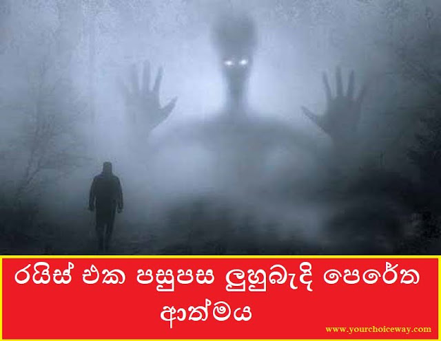 රයිස් එක පසුපස ලුහුබැදි පෙරේත ආත්මය (Rice) - Your Choice Way