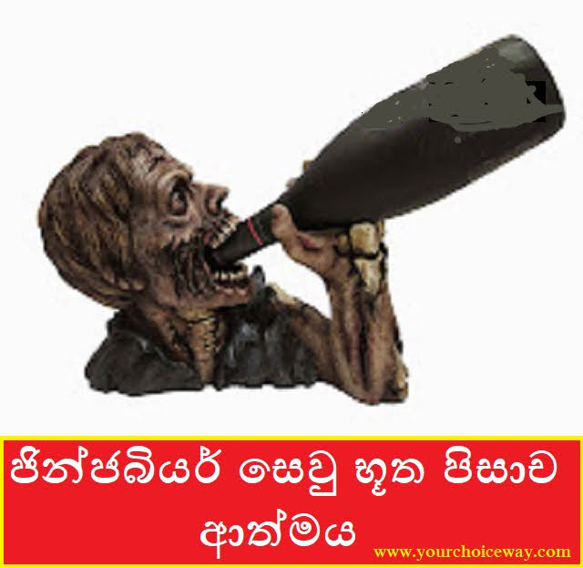 ජින්ජබියර් සෙවු භූත පිසාච ආත්මය (Ginger Bear) - Your Choice Way